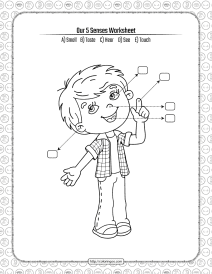 printable our 5 senses pdf worksheet