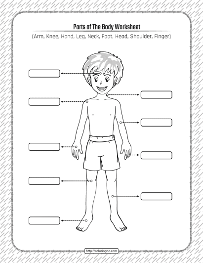 printable parts of the body pdf worksheet