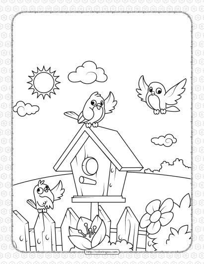 printable birds near a birdhouse coloring page