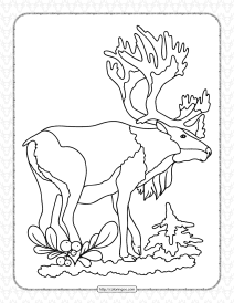 printable old deer coloring page