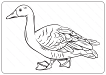 duck coloring pages for kids