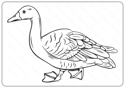 duck coloring pages for kids