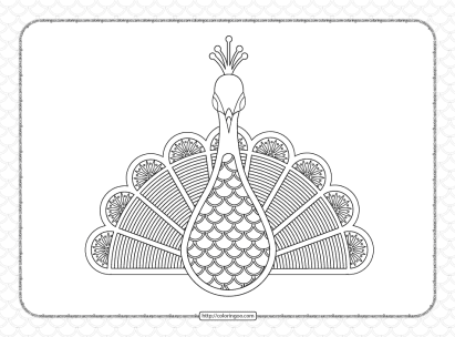 peacock illustration outline coloring page 1