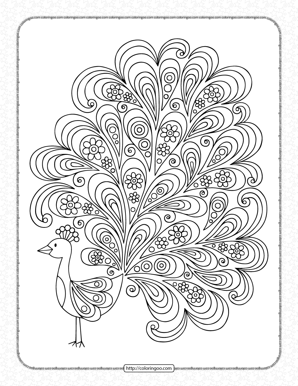 peacock pdf coloring pages for kids