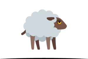 sheep