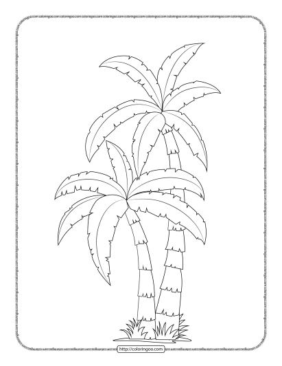 palm tree coloring pages