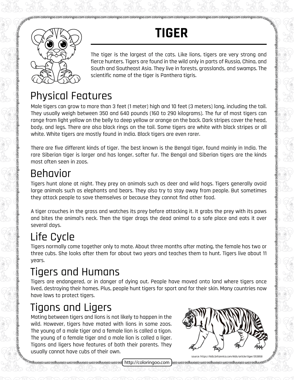 free printable tigers homework worksheet for kids