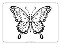 beautiful butterfly coloring page